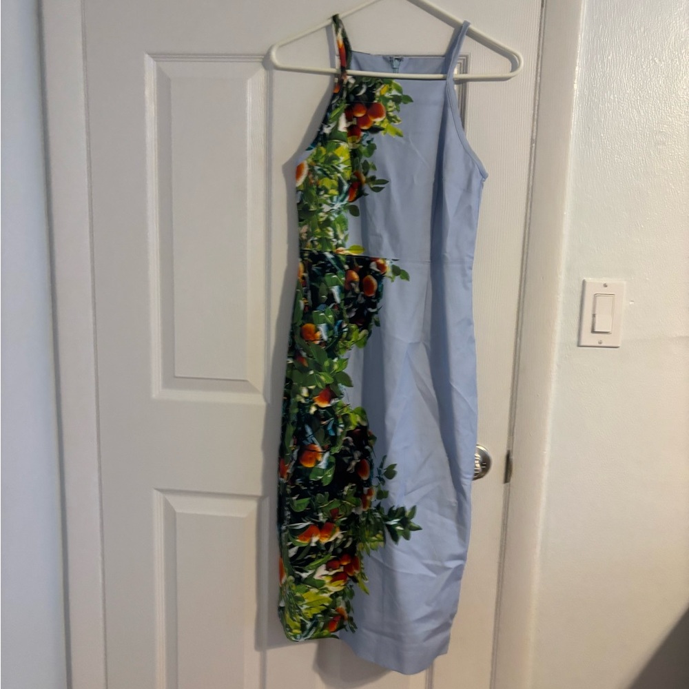 Anthropologie Blue and Green Floral Maxi Dress